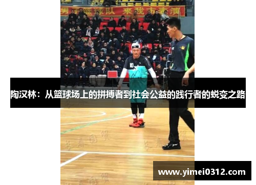 陶汉林：从篮球场上的拼搏者到社会公益的践行者的蜕变之路